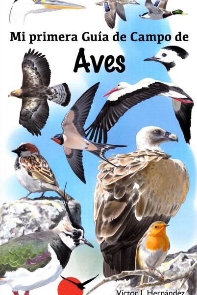 MI PRIMERA GUIA DE CAMPO. AVES | 9788416702404 | HERNANDEZ, VICTOR J.