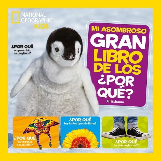 MI ASOMBROSO GRAN LIBRO DE LOS POR QUÉ | 9788482987217 | ESBAUM JILL