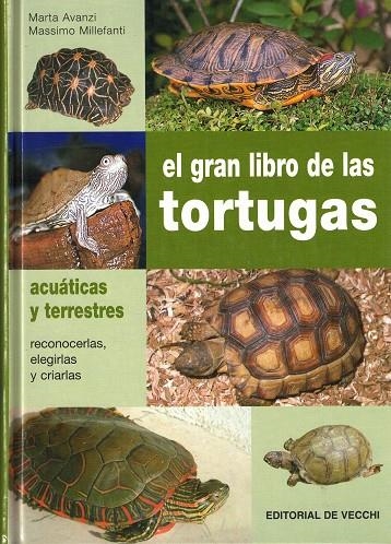 GRAN LIBRO DE LAS TORTUGAS ACUATICAS Y TERRESTES | 9788431530808 | AVANZI, MARTA ; MILLEFANTI, MASSIMO