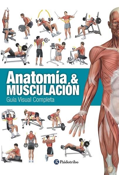 ANATOMÍA & MUSCULACIÓN. | 9788499104911 | CANOVAS LINARES, RICARDO