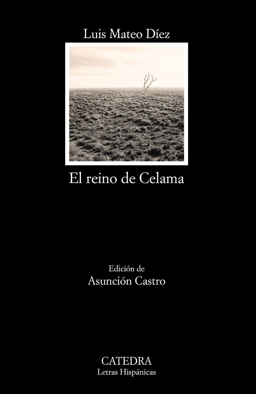 EL REINO DE CELAMA | 9788437634791 | MATEO DÍEZ, LUIS