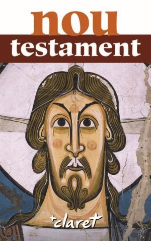 NOU TESTAMENT | 9788498464306 | SIDERA PLANA, JAUME