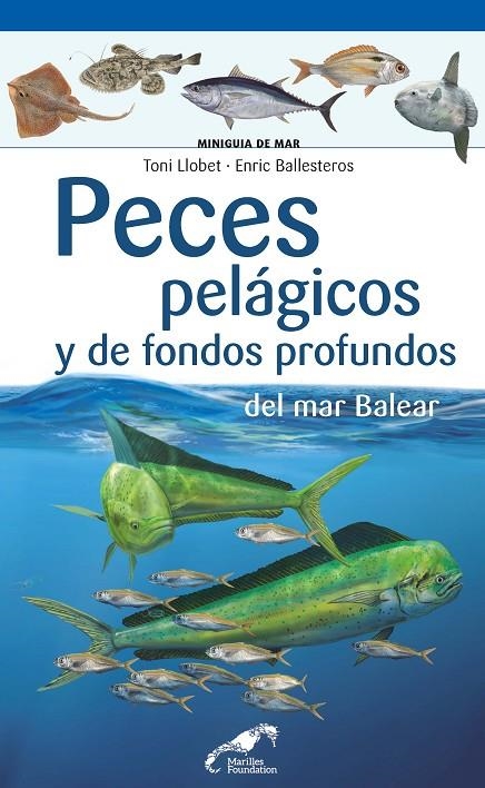 PECES PELÁGICOS Y DE FONDOS PROFUNDOS DEL MAR BALEAR | 9788490349571 | LLOBET FRANÇOIS, TONI/BALLESTEROS SAGARRA, ENRIC