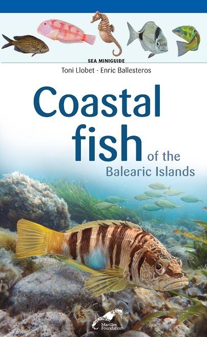 COASTAL FISH OF THE BALEARIC ISLANDS | 9788490349427 | LLOBET FRANÇOIS , TONI/BALLESTEROS SAGARRA , ENRIC