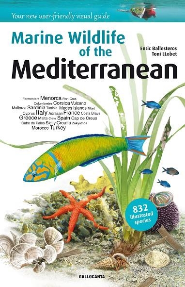 MARINE WILDLIFE OF THE MEDITERRANEAN | 9788415885276 | BALLESTEROS SAGARRA, ENRIC