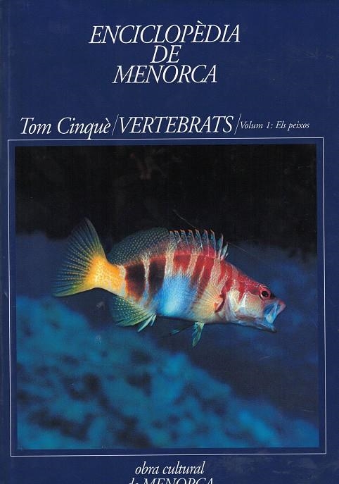 ENCICLOPÈDIA DE MENORCA. TOM CINQUÈ (VERTEBRATS). VOLUM I: PEIXOS | 84878640311 | AA.VV.