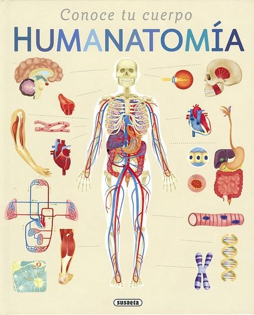 HUMANATOMÍA | 9788467760835 | EDWARDS, NICOLA