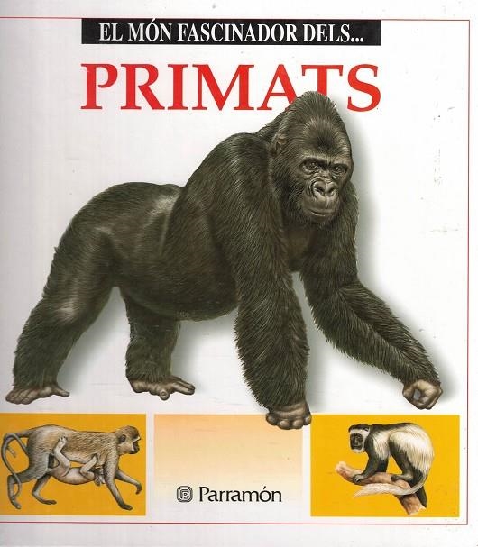 PRIMATS | 9788434220195 | JULIVERT ZAMARREÑO, MARIA ÀNGELS / SOCÍAS, MARCEL / GIBERT, MIQUEL ÀNGEL