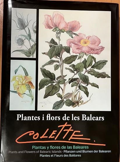 PLANTES I FLORS DE LES BALEARS | 9788460834090 | GRADAILLE TORTELLA, JOSEP LLUÍS I LLORENS GARCÍA, LLEONARD