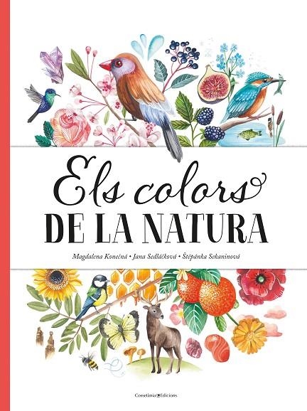 ELS COLORS DE LA NATURA | 9788490349243 | SEDLÁ?KOVÁ, JANA/SEKANINOVÁ, ?T?PÁNKA