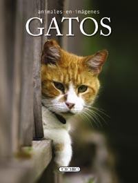 GATOS | 9788499135397 | TODOLIBRO, EQUIPO