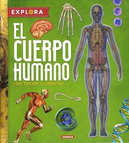 EL CUERPO HUMANO | 9788467736823 | MONTORO, JORGE