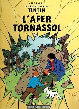 AFER TORNASSOL, L | 9788426110602 | HERGE