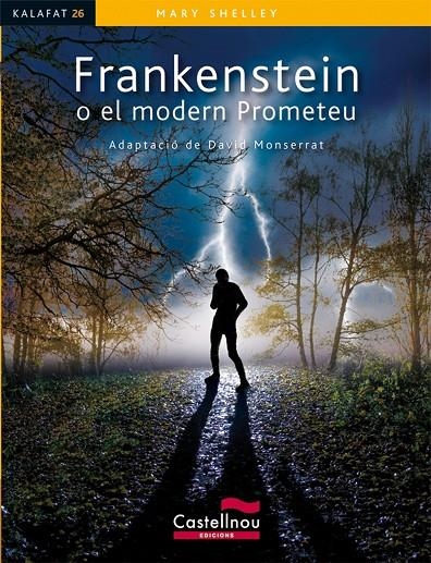 FRANKENSTEIN O EL MODERN PROMETEU | 9788498047011 | SHELLEY, MARY