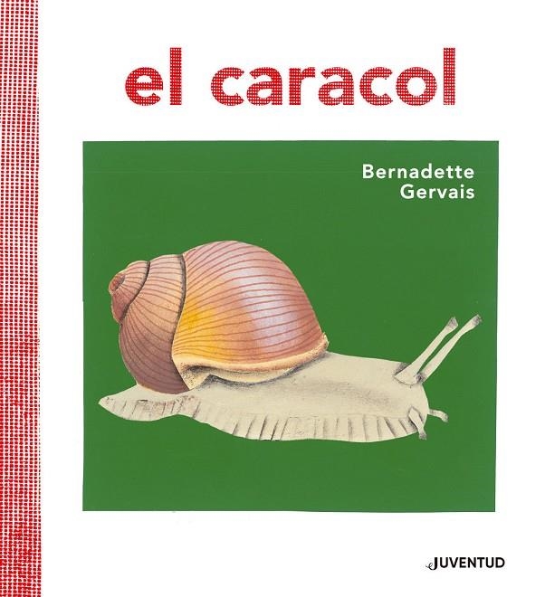 EL CARACOL | 9788426145673 | GERVAIS, BERNADETTE/TORNERO BRUGUÉS, SUSANA