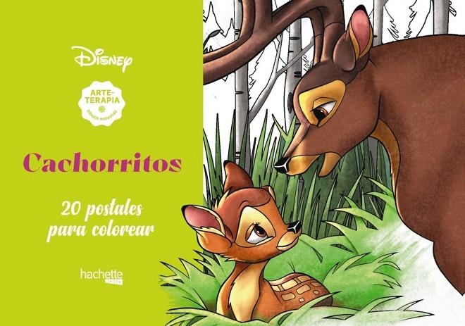 ARTETERAPIA. CACHORRITOS DISNEY | 9788417586560 | VARIOS AUTORES