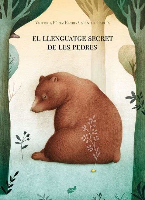 EL LLENGUATGE SECRET DE LES PEDRES | 9788418702013 | PÉREZ ESCRIVÁ, VICTORIA