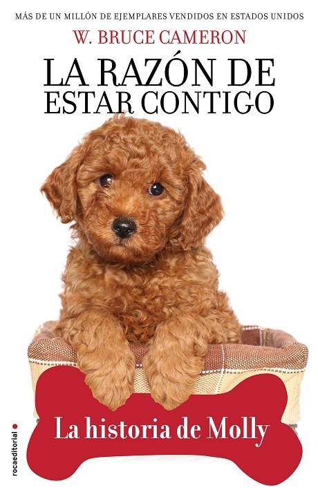 LA RAZÓN DE ESTAR CONTIGO. LA HISTORIA DE MOLLY | 9788417968007 | CAMERON, W. BRUCE