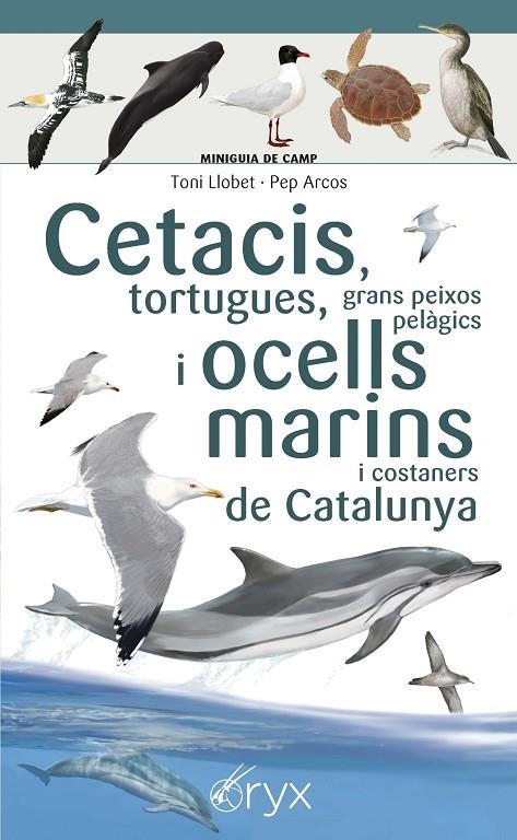 CETACIS, TORTUGUES, GRANS PEIXOS PELÀGICS I OCELLS MARINS DE CATALUNYA | 9788490349441 | ARCOS XX, PEP/LLOBET FRANÇOIS, TONI