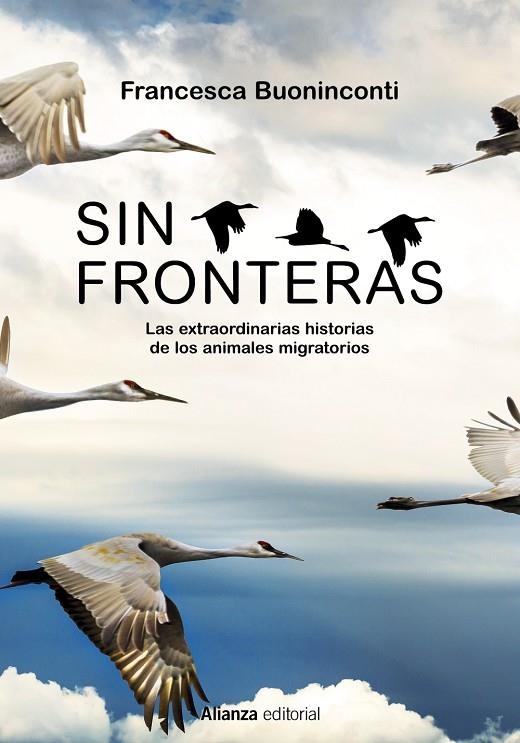 SIN FRONTERAS | 9788413625300 | BUONINCONTI, FRANCESCA