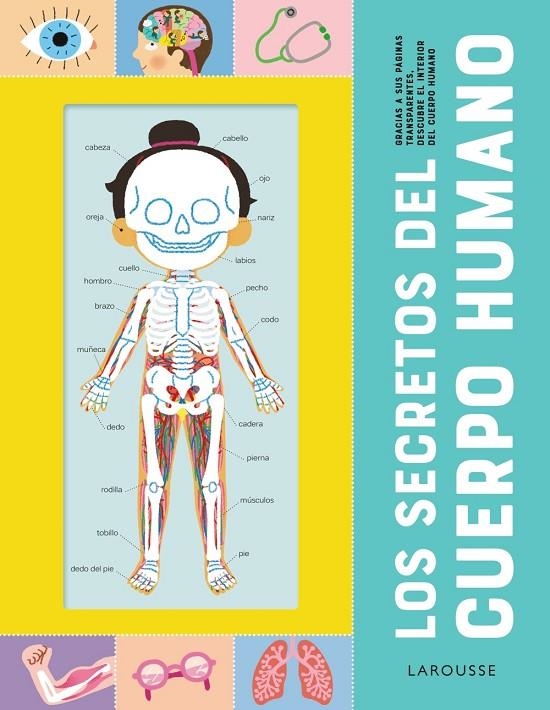 LOS SECRETOS DEL CUERPO HUMANO | 9788418473210 | ÉDITIONS LAROUSSE