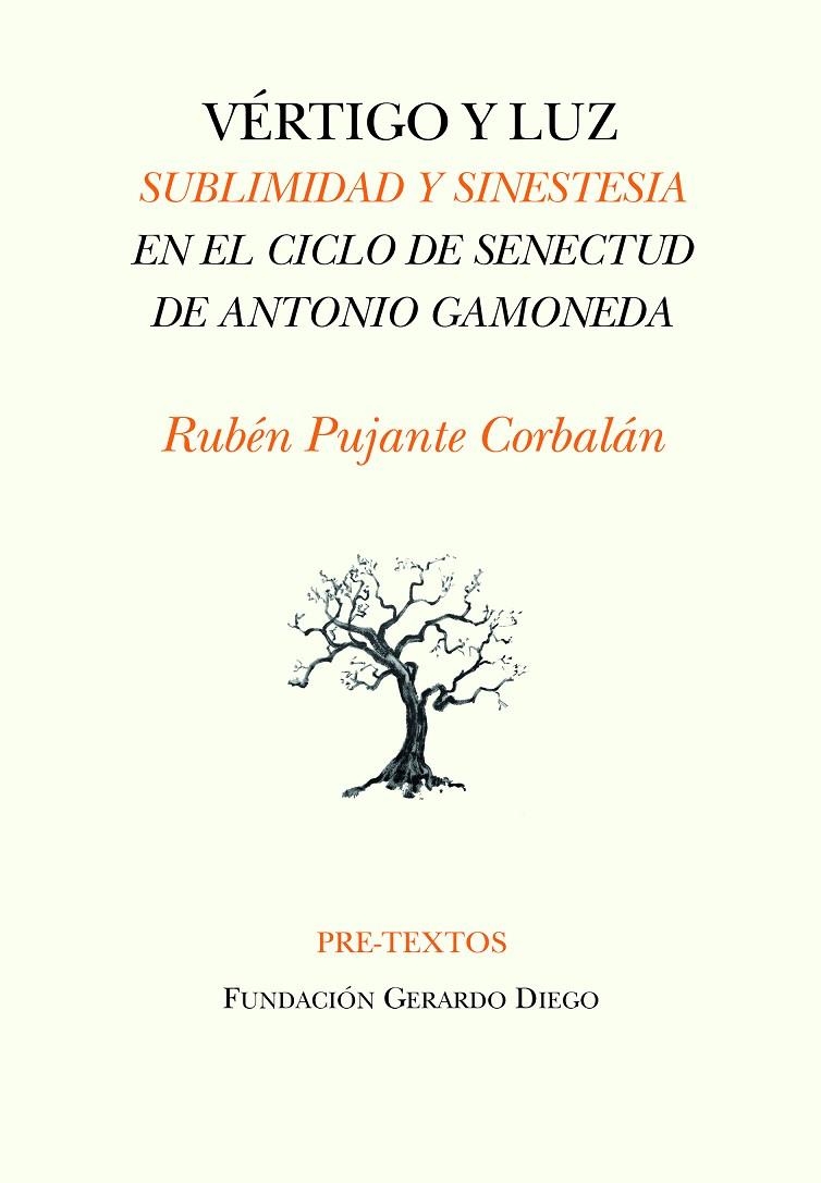 VÉRTIGO Y LUZ | 9788418935237 | PUJANTE CORBALÁN, RUBÉN