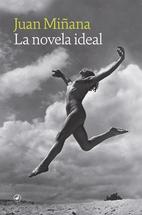 LA NOVELA IDEAL | 9788418800177 | MIÑANA, JUAN