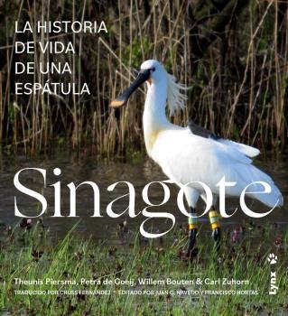 SINAGOTE | 9788416728572 | PIERSMA, THEUNIS/GOEIJ, PETRA DE/BOUTE, WILLEM/ZUHORN, CARL