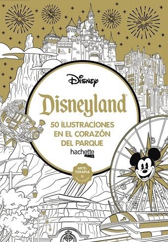 DISNEYLAND | 9788418182440 | VARIOS AUTORES