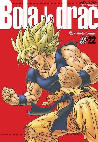 BOLA DE DRAC DEFINITIVA Nº 22/34 | 9788413419046 | TORIYAMA, AKIRA