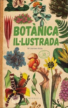 BOTÀNICA IL·LUSTRADA | 9788419095091 | SORIA, CARMEN