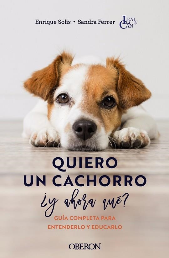 QUIERO UN CACHORRO, ¿Y AHORA QUÉ? | 9788441546561 | SOLÍS ÁLVAREZ, ENRIQUE/FERRER DE LUCAS, SANDRA