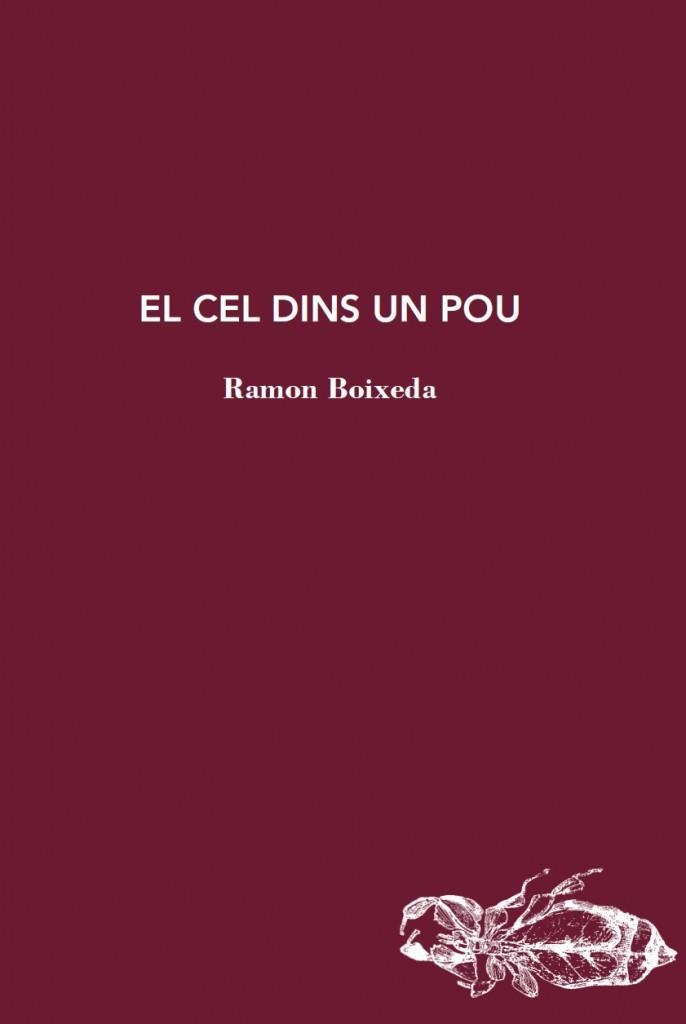 EL CEL DINS UN POU | 9788412577464 | BOIXEDA, RAMON