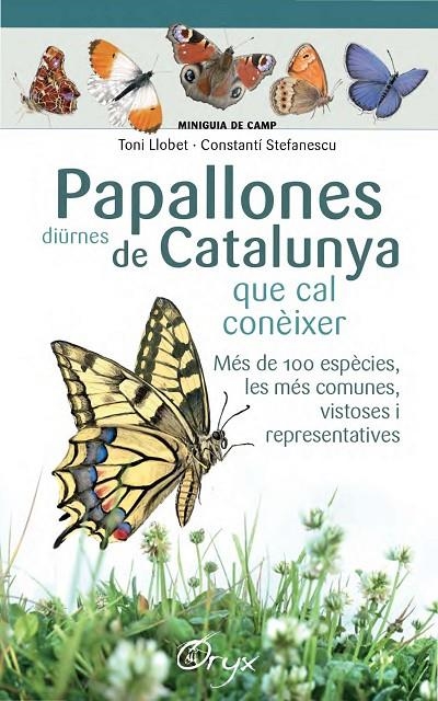 PAPALLONES DIÜRNES DE CATALUNYA | 9788490346754 | STEFANESCU, CONSTANTÍ/LLOBET FRANÇOIS, TONI