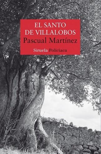 EL SANTO DE VILLALOBOS | 9788419553164 | MARTÍNEZ, PASCUAL