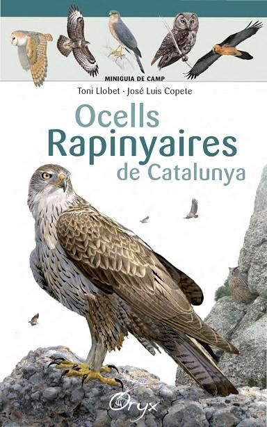 OCELLS RAPINYAIRES DE CATALUNYA | 9788490346785 | LLOBET FRANÇOIS, TONI/COPETE, JOSÉ LUIS