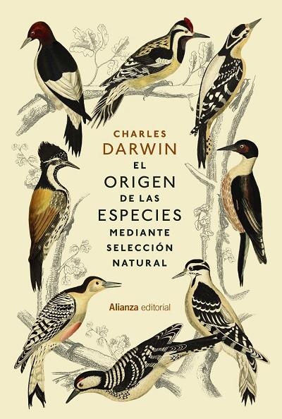 EL ORIGEN DE LAS ESPECIES | 9788411484565 | DARWIN, CHARLES