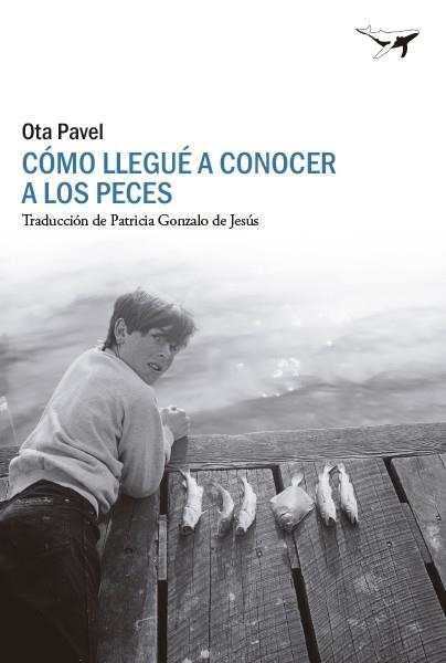 COMO LLEGUÉ A CONOCER A LOS PECES | 9788412619447 | PAVEL, OTA