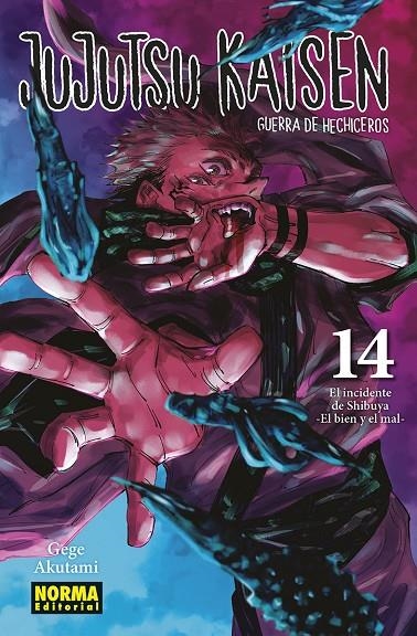 JUJUTSU KAISEN 14 (NUEVO PVP) | 9788467966909 | AKUTAMI, GEGE