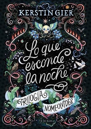 LO QUE ESCONDE LA NOCHE (TRILOGÍA NOMEOLVIDES 1) | 9788419522948 | GIER, KERSTIN