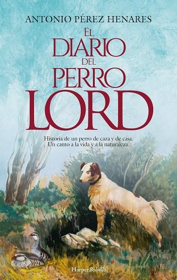 EL DIARIO DEL PERRO LORD | 9788419809384 | PÉREZ HENARES, ANTONIO