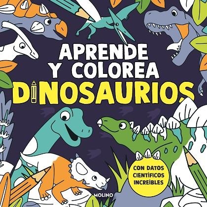 APRENDE Y COLOREA: DINOSAURIOS | 9788427245457 | VARIOS AUTORES