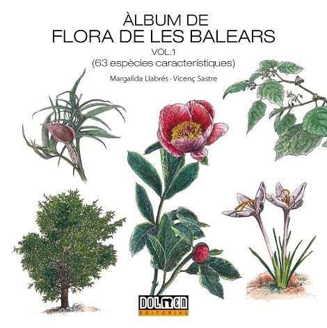 ÀLBUM DE FLORA DE LES BALEARS VOLUM 1 | 9788410390041 | LLABRÉS, MARGALIDA