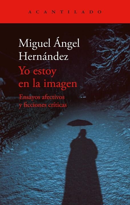 YO ESTOY EN LA IMAGEN | 9788419958235 | HERNÁNDEZ, MIGUEL ÁNGEL