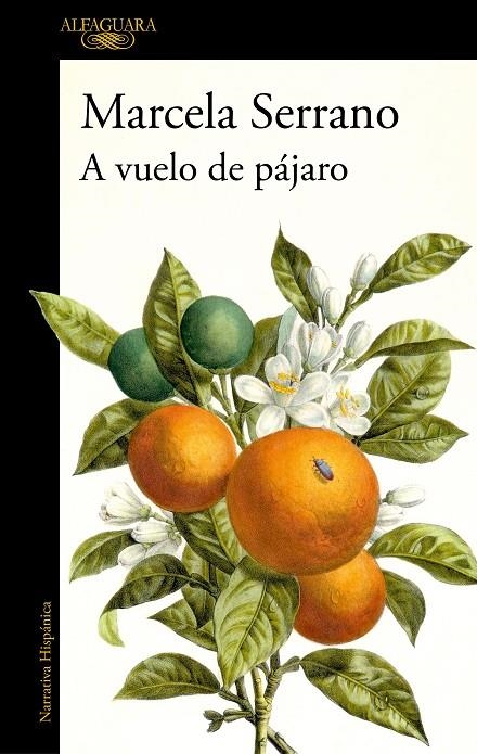 A VUELO DE PÁJARO | 9788420477978 | SERRANO, MARCELA