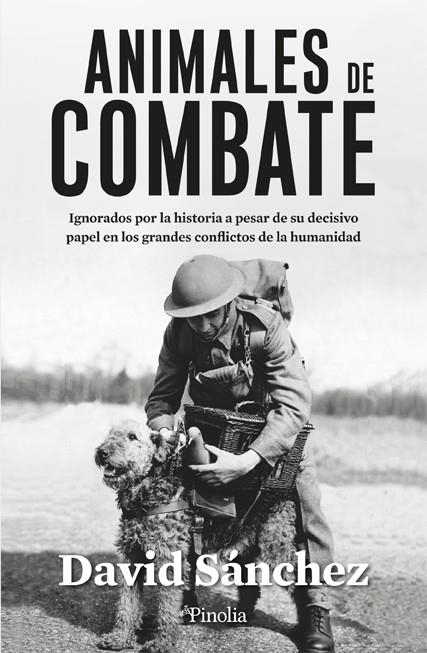 ANIMALES DE COMBATE | 9788419878229 | DAVID SÁNCHEZ