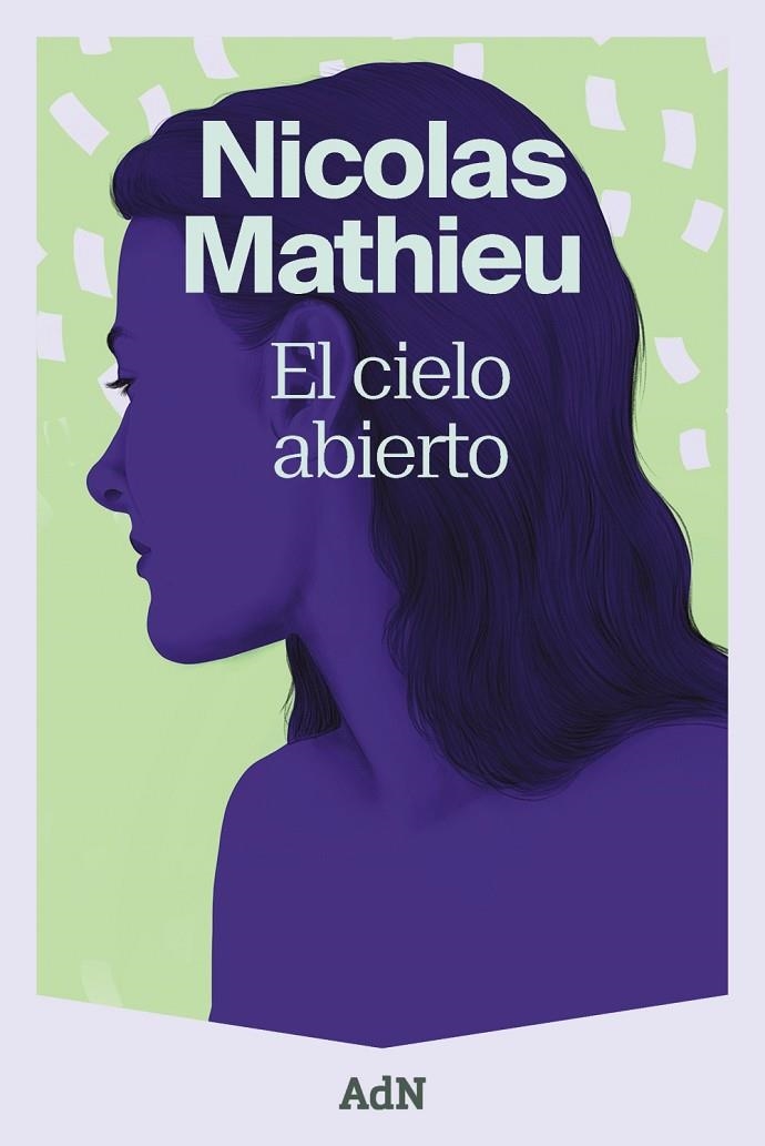 EL CIELO ABIERTO | 9788410138827 | MATHIEU, NICOLAS